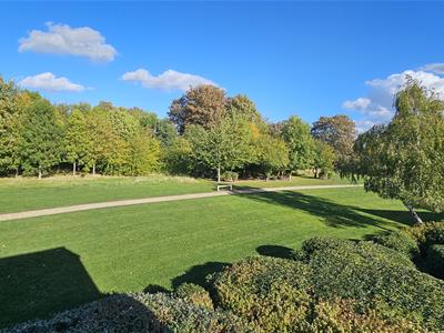 Picture 23